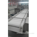 vegetable and fruit conveyor processing machine